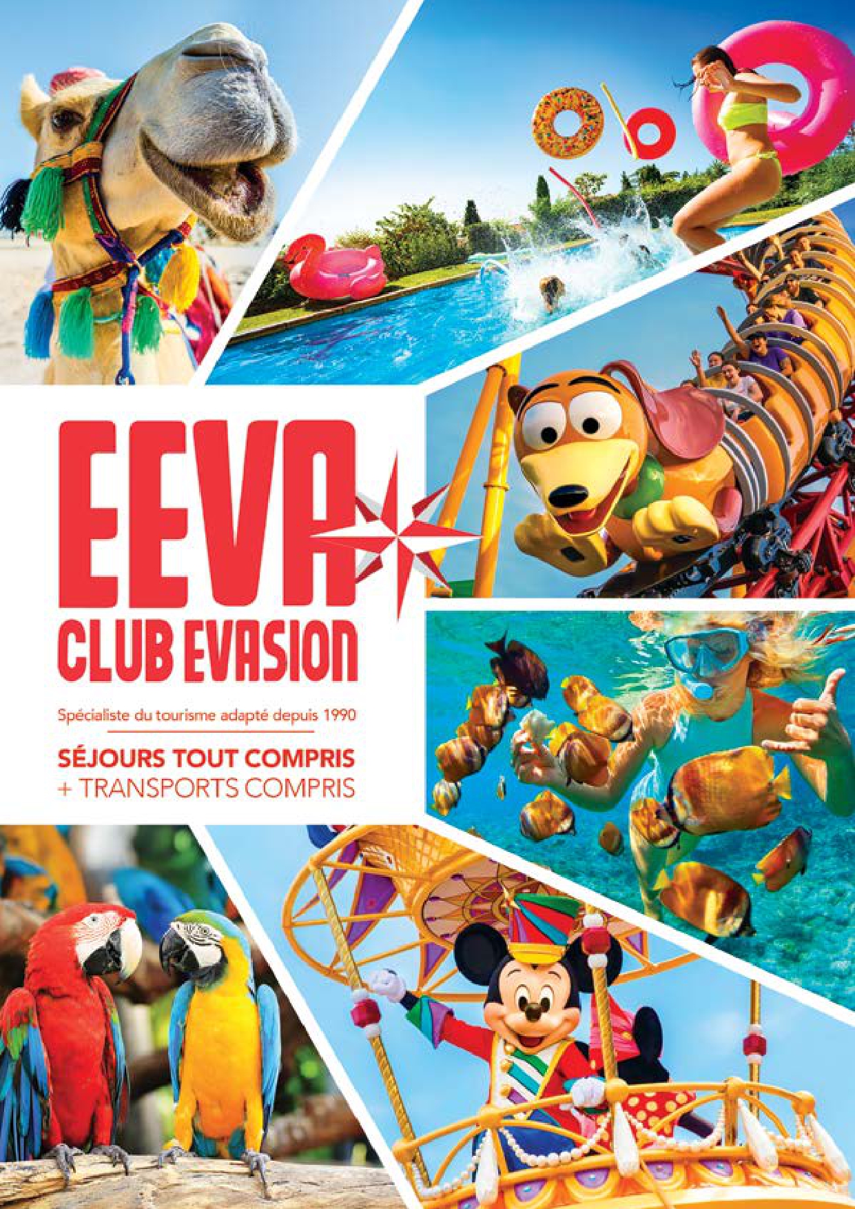 Télécharger notre catalogue