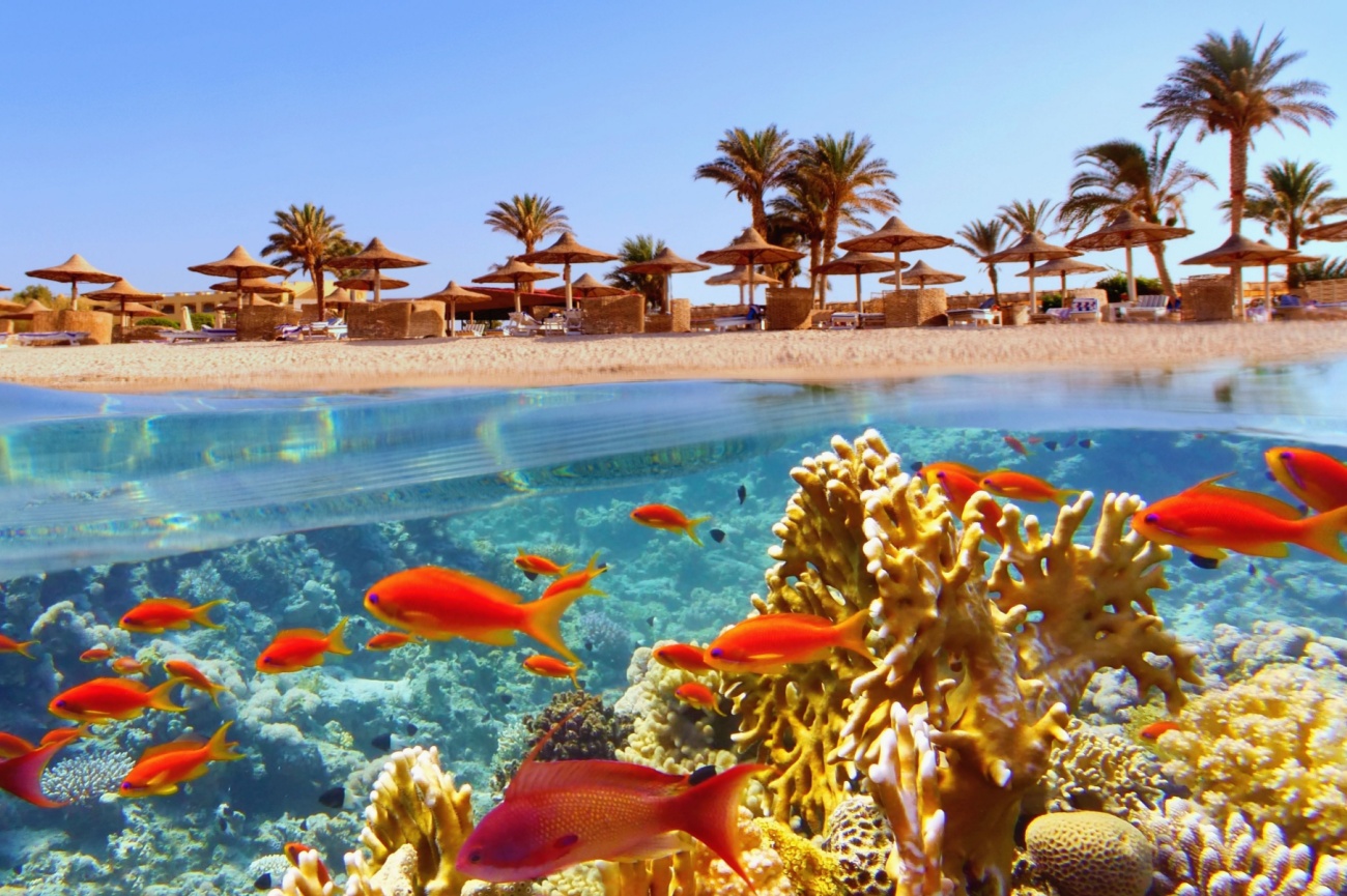 EGYPTE - HURGHADA 0