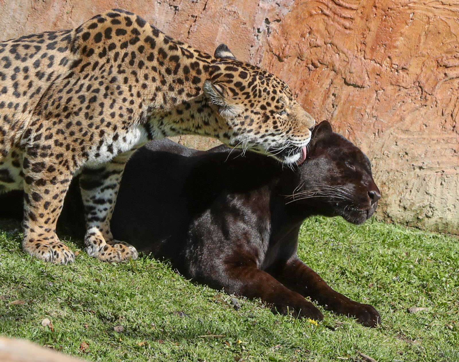 LA VENISE DES ALPES annecy poisy 1