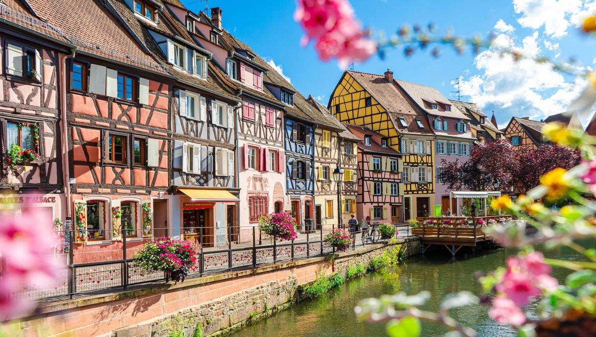 VOSGES VILLAGE CLUB ANIMé 0