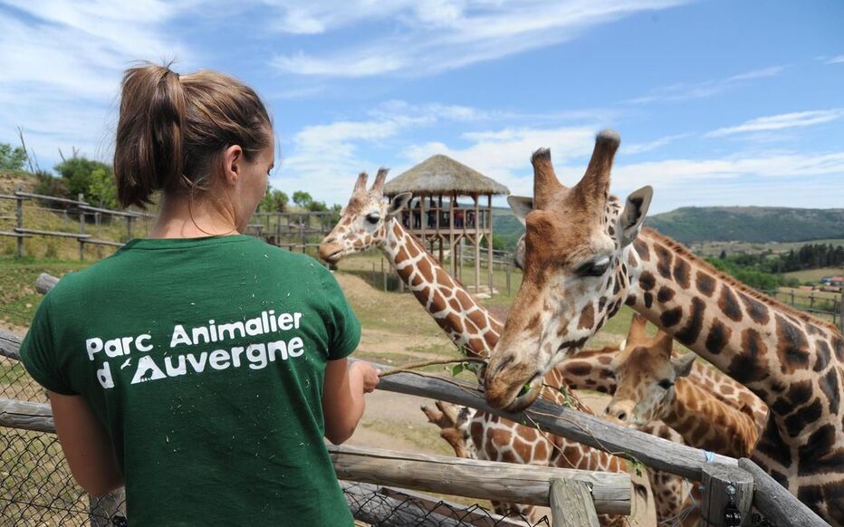 bulles d'auvergne balnéo ardes 1
