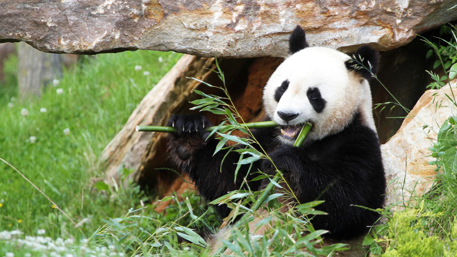 LA BUSSIERE - FUTUROSCOPE 2