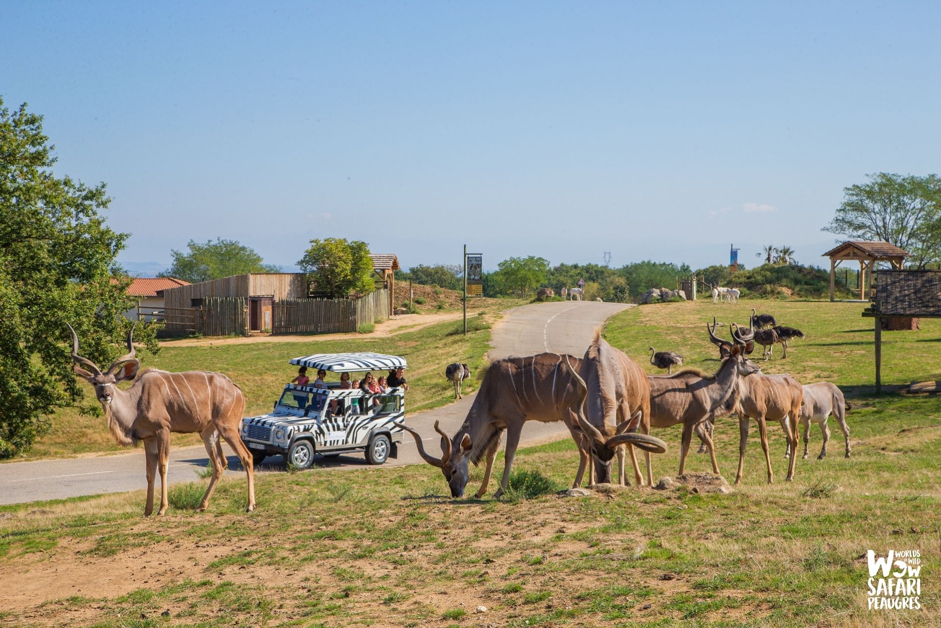 LYON monts d'or déjeuner croisière 2