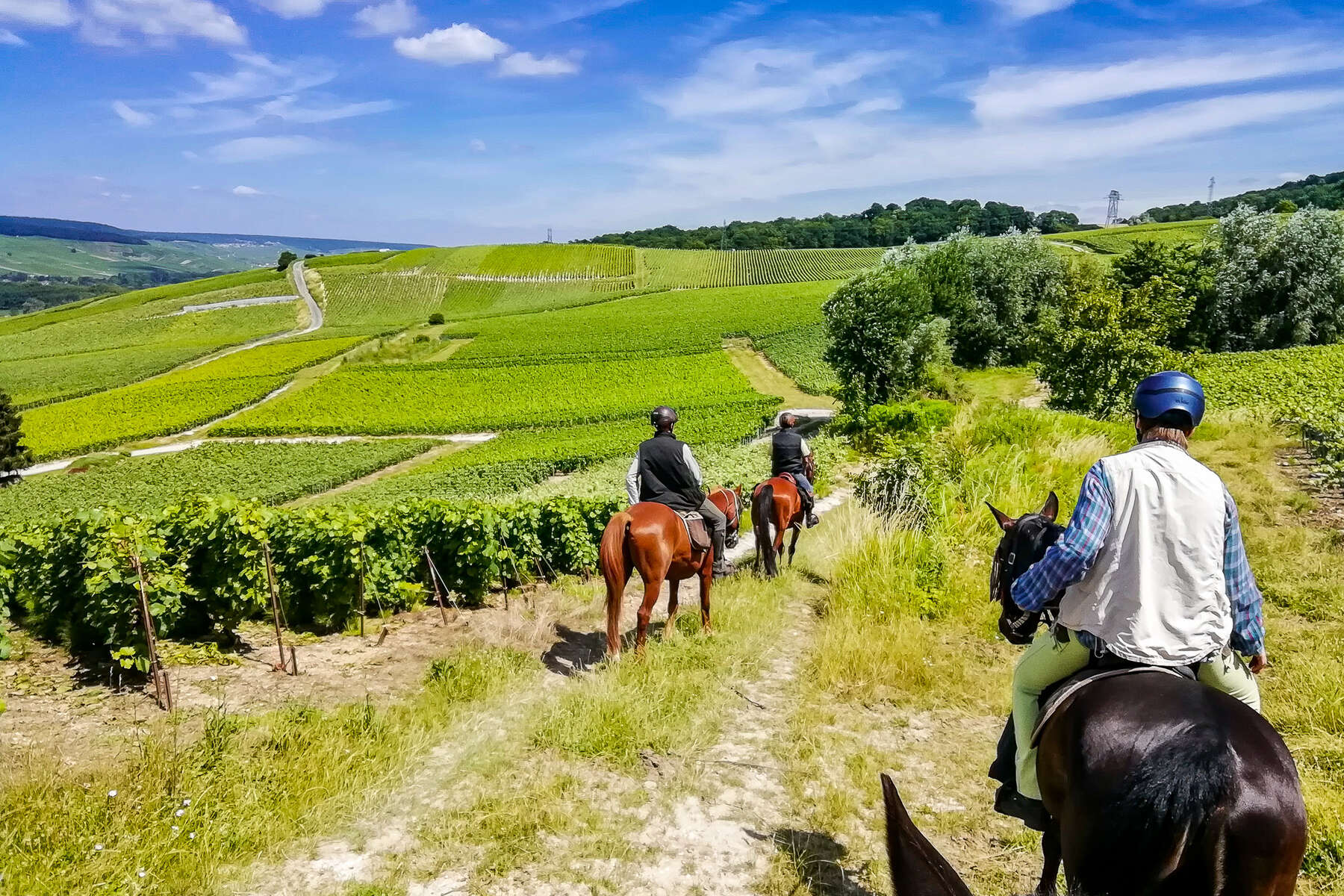 équitation & puy du fou fontenay 1
