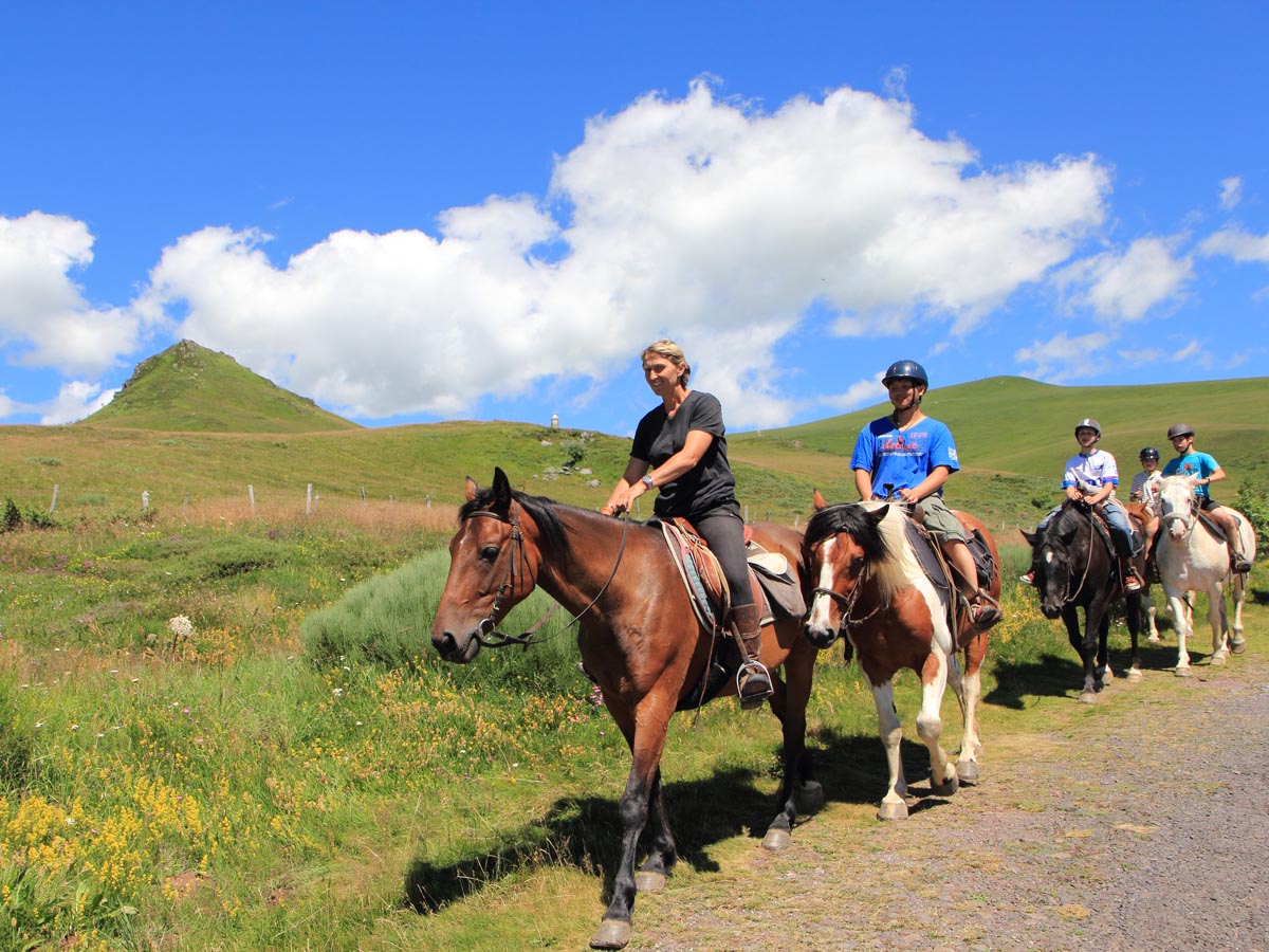 fontenay le comte - équitation 1