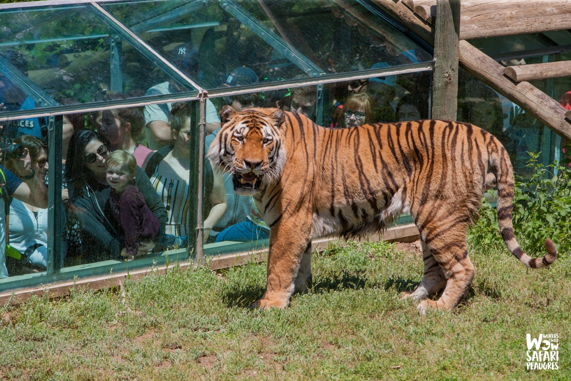 DRÔME - SAFARI & PALAIS 0