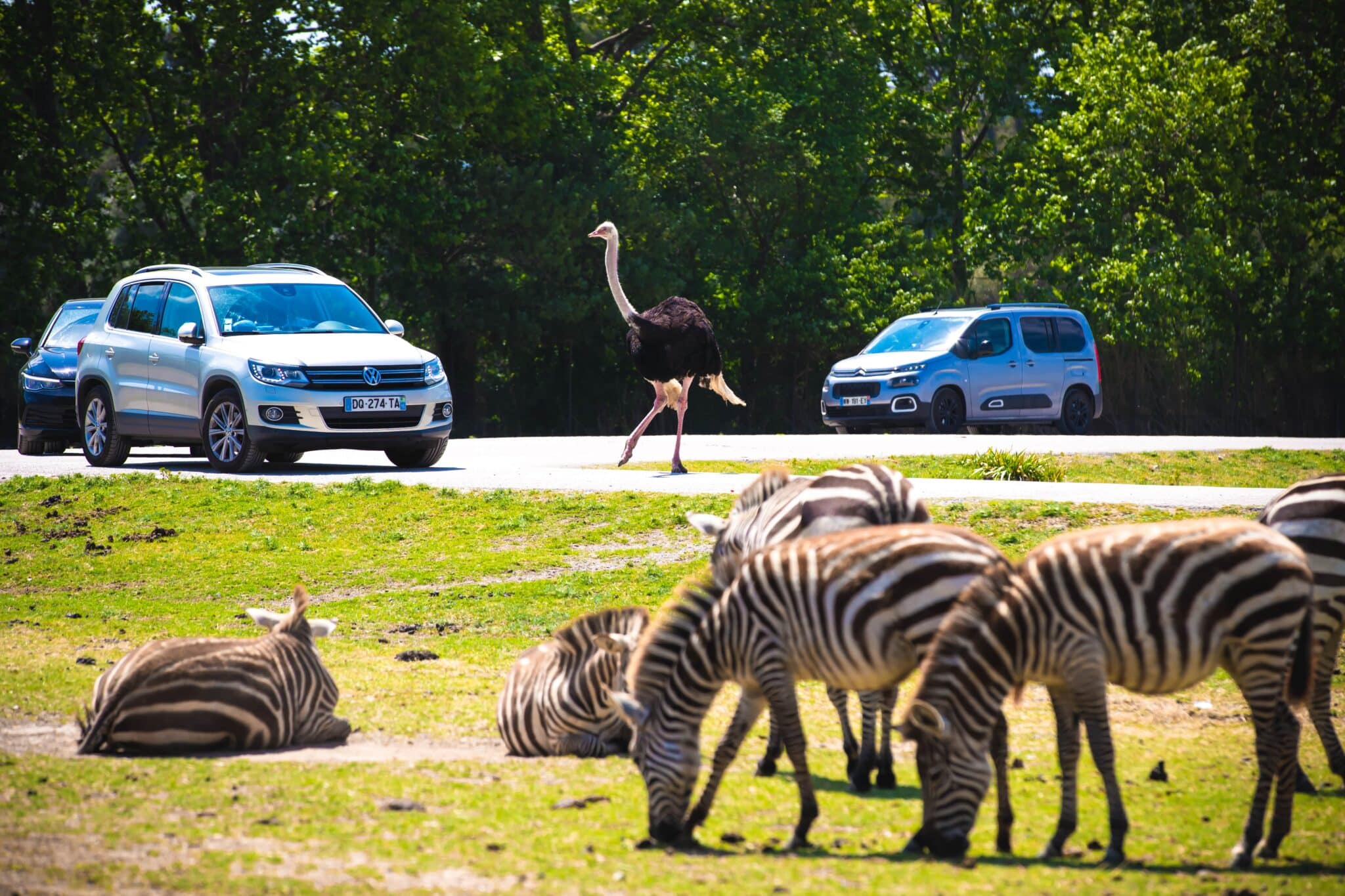 narbonne les grands buffets 2