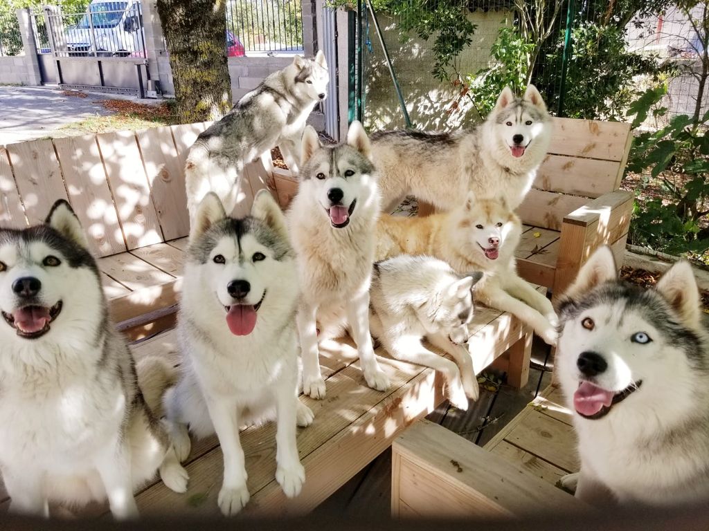 saint lary - BALnéo village club animé 1