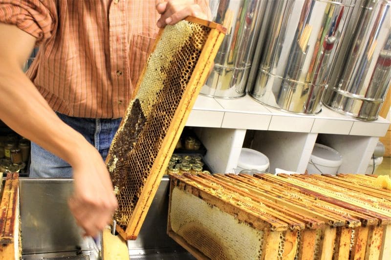 séjour adaptée Les Sybelles – SAINT JEAN D’ARVES 2 